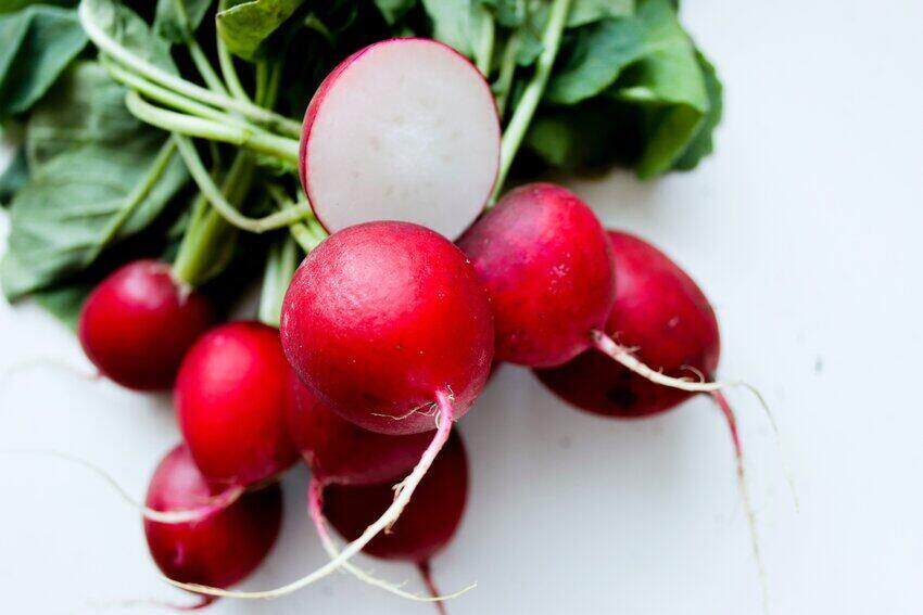 How To Prevent Radish from Bolting