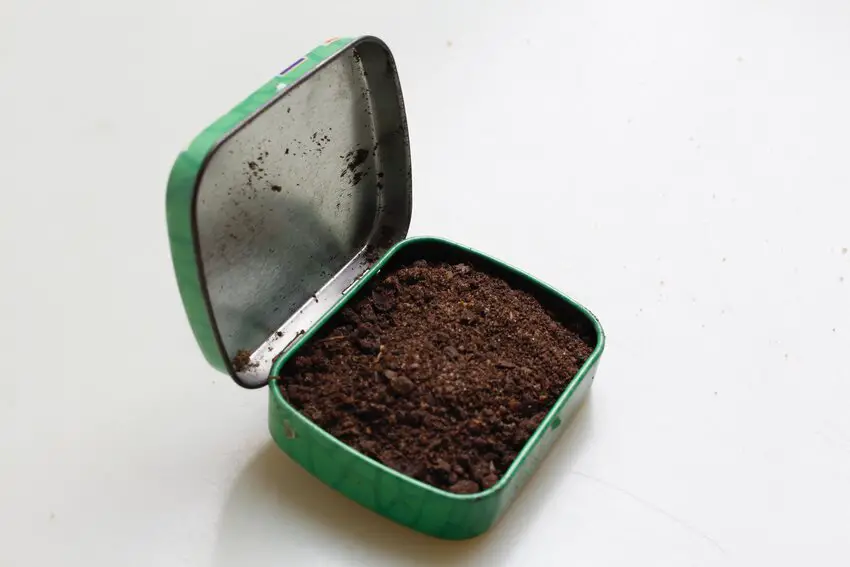 How Long Does Compost Tea Last