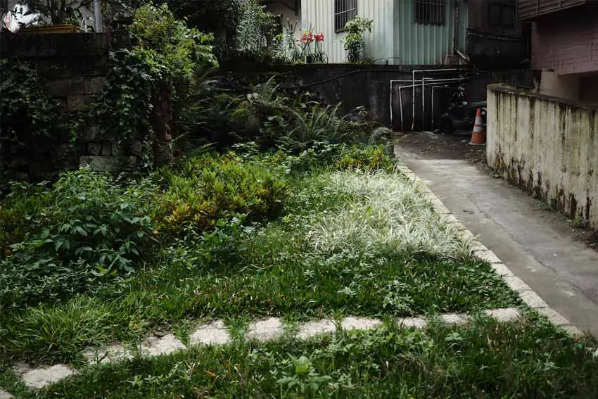 best-weed-barrier-for-vegetable-garden