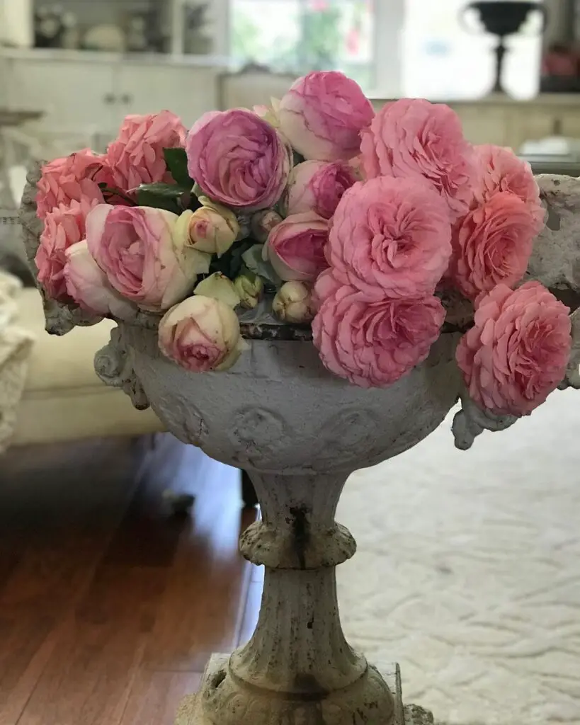 Air-Drying Roses in a Vase