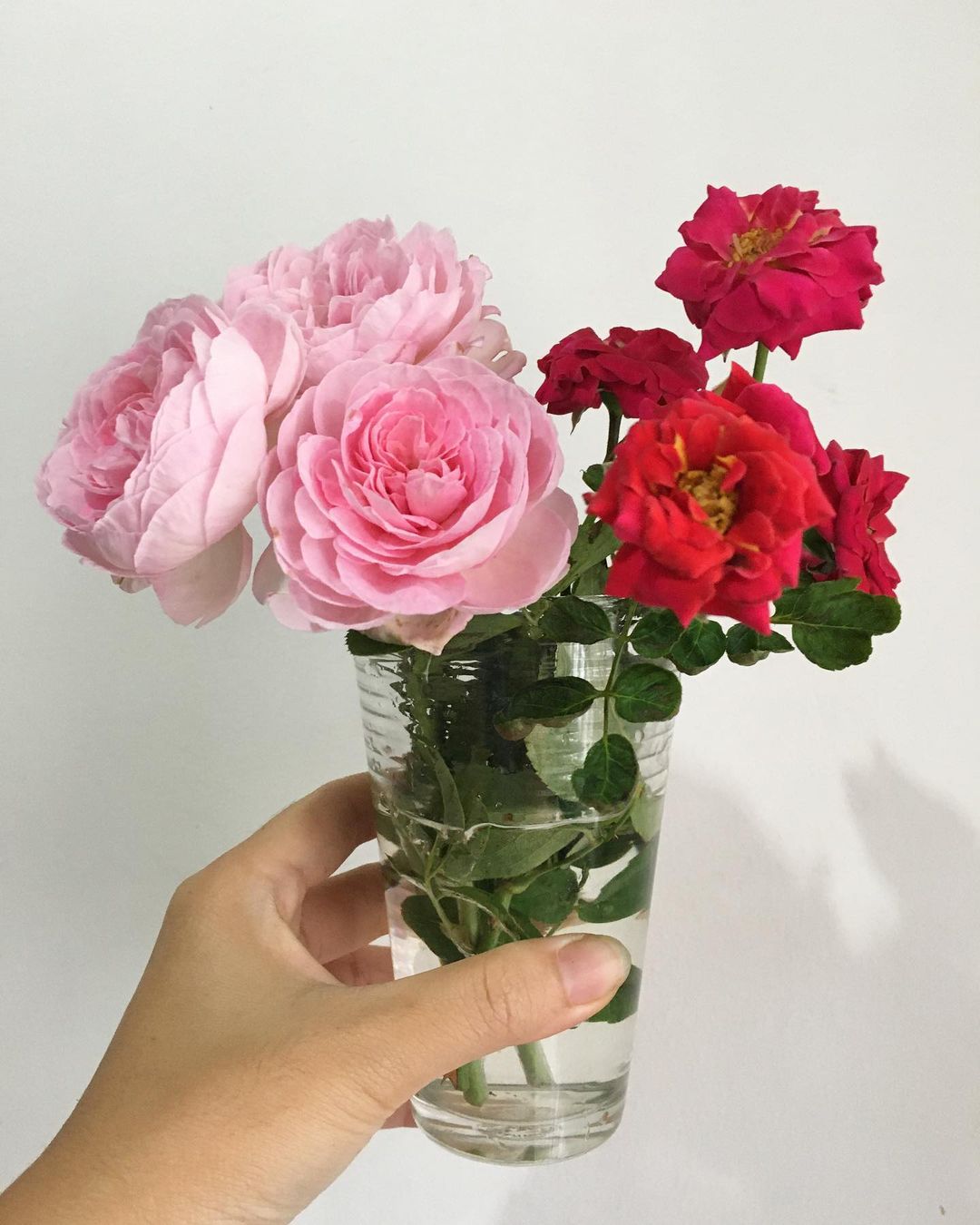 how-to-keep-cut-roses-fresh-and-won-t-wilt-handy-gardening